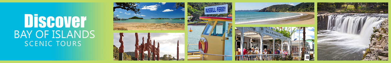 Discover Bay of Islands - scenic tour
